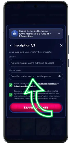 Saisie e-mail et mot de passe ViperWin